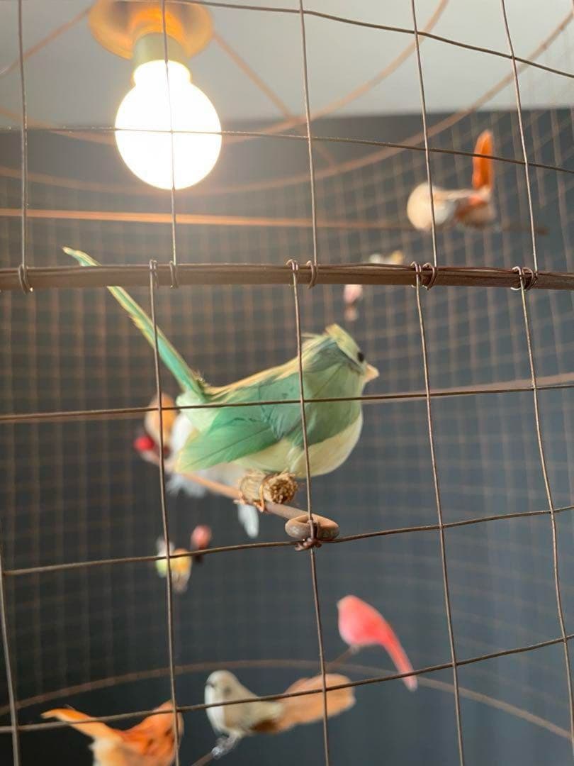 専用 コンランショップ LA VOLIERE SHADE GRANDE ライト - メルカリ