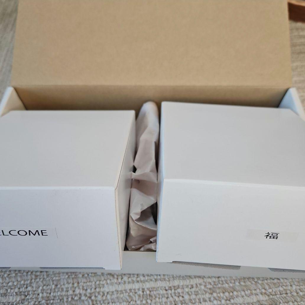 ドラえもん カムカムキャット ちょうちん ランタン 飾り インテリア