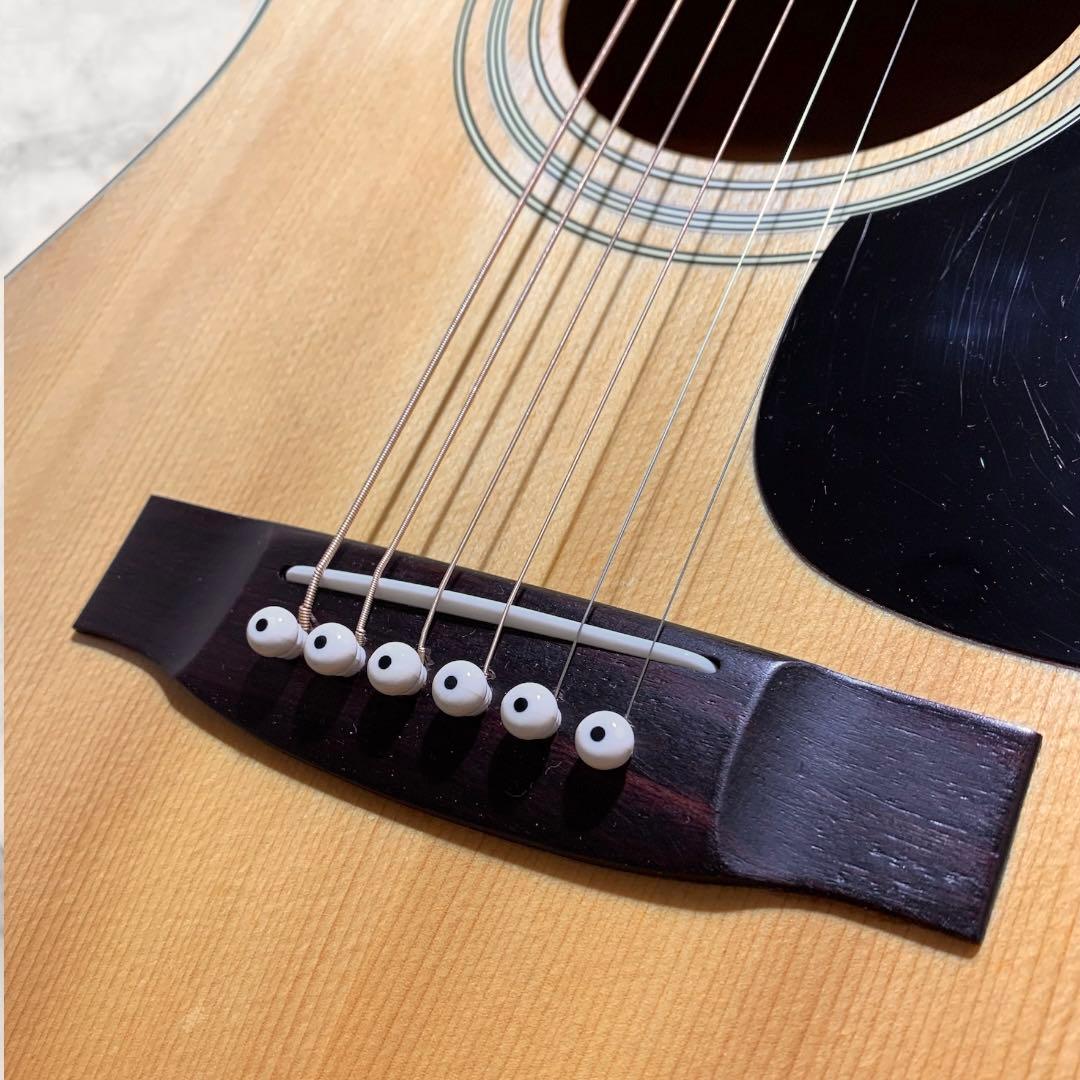 SPLENDOR スプレンダー 国産ドレッド 美品 杢メイプル 楽器・機材