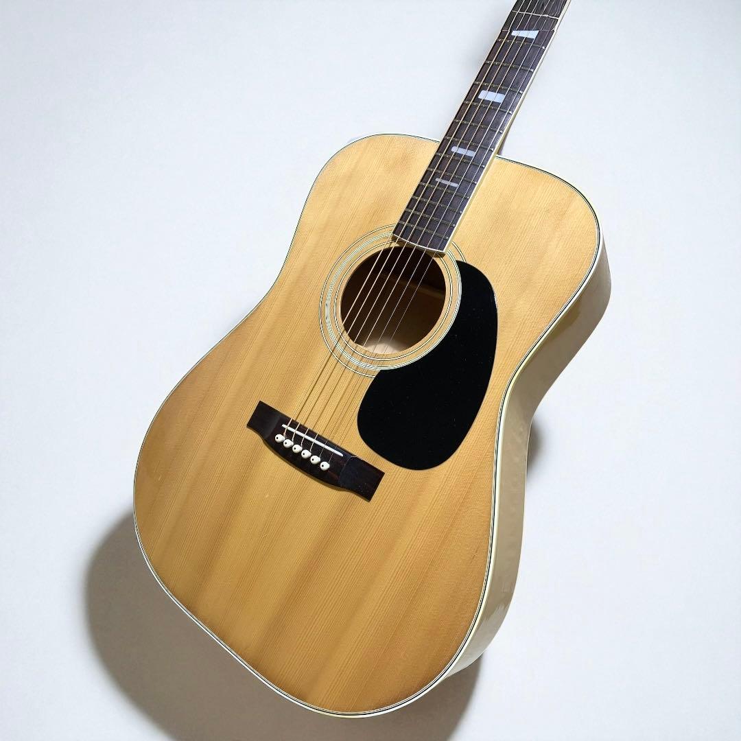 SPLENDOR スプレンダー 国産ドレッド 美品 杢メイプル 楽器・機材