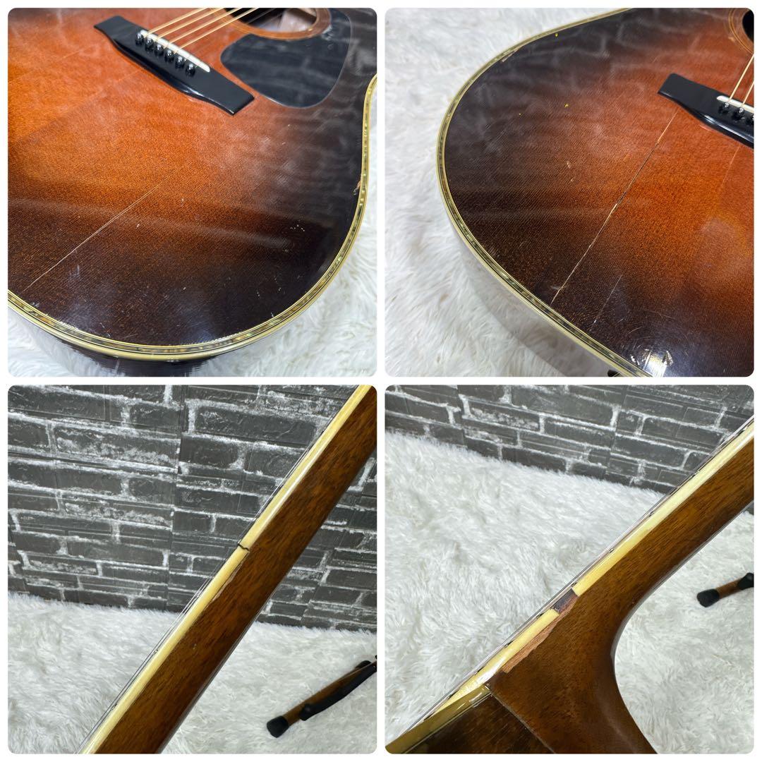 MORRIS TF-801 ハカランダ アコースティックギター モーリスギター TF