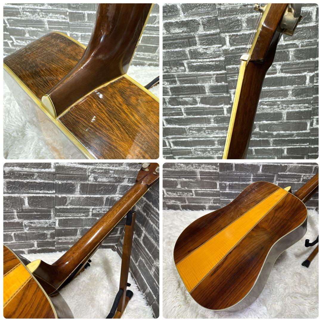 MORRIS TF-801 ハカランダ アコースティックギター - メルカリ