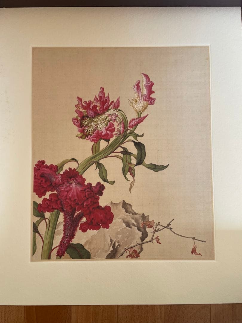 稀少中国清郎世宁长春图 名家绢絵 日本株式会社 二玄社印刷品16枚古董品