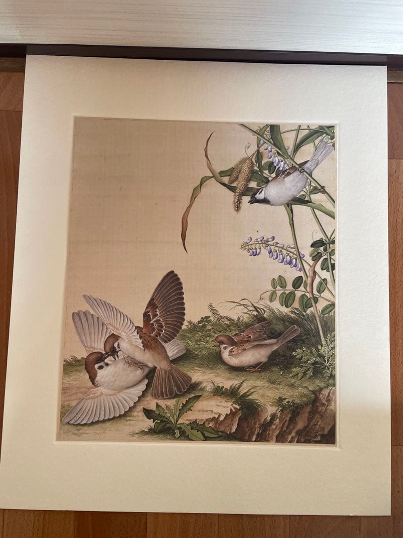 稀少中国清郎世宁长春图 名家绢絵 日本株式会社 二玄社印刷品16枚古董品