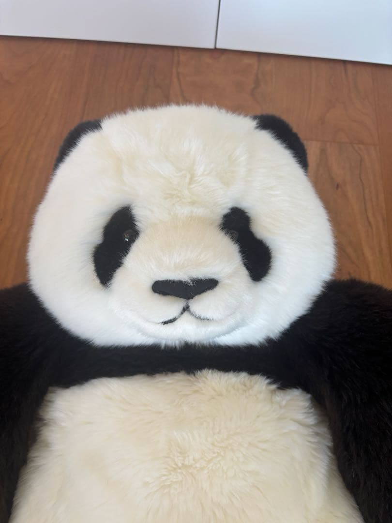 上野動物園　香香　ぬいぐるみ　抱っこ　シャンシャン