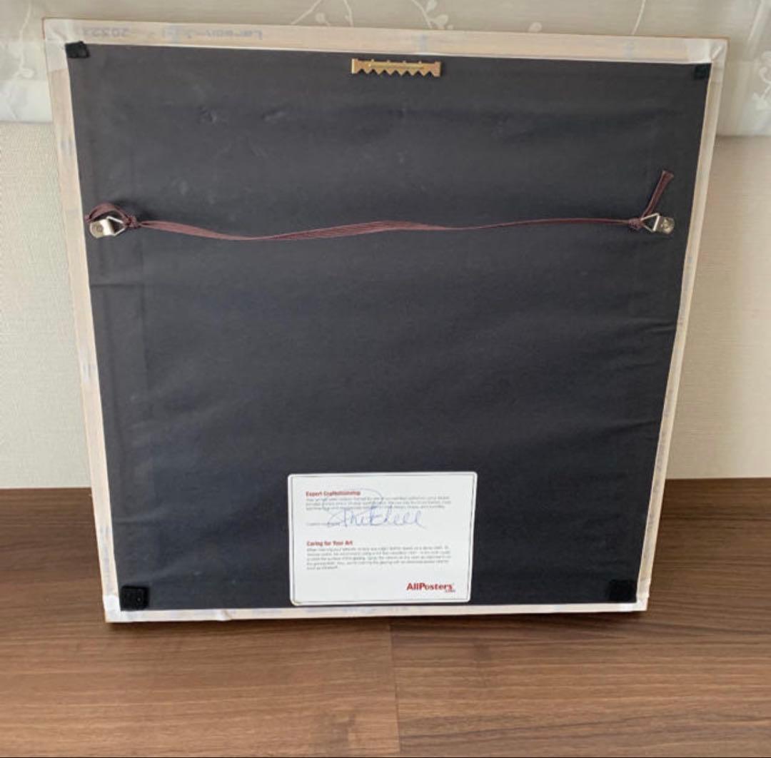 アルバートクーツィール　レントゲンフラワー2点