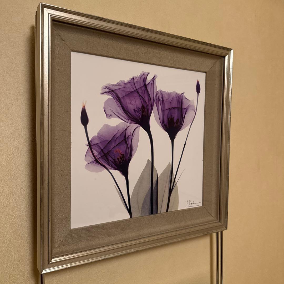 アルバートクーツィール　レントゲンフラワー2点