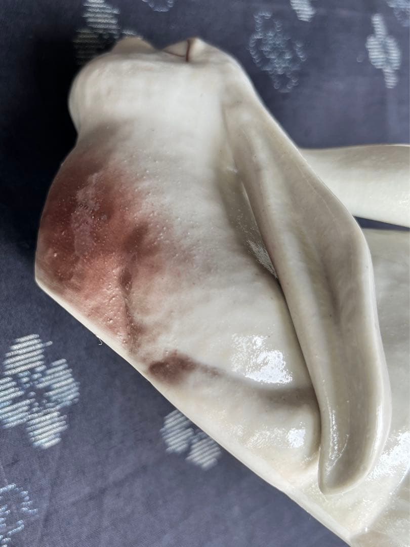 九谷焼 浅蔵五十吉 うさぎ 置物 卯 兎 干支 - メルカリ