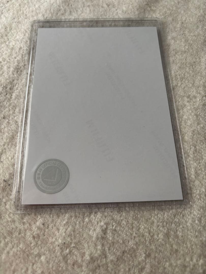 でんでんどうどさん専用