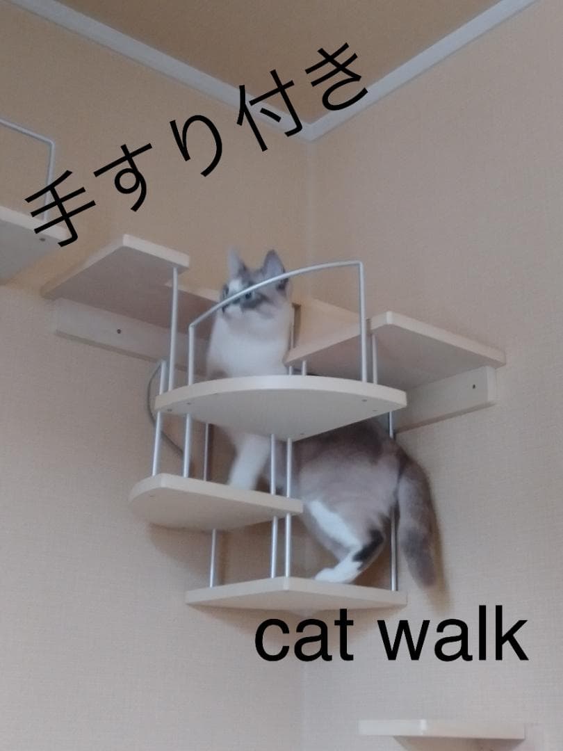 キャットウォーク、手すり付き階段、ねこちゃんもあんしん、軽量設計