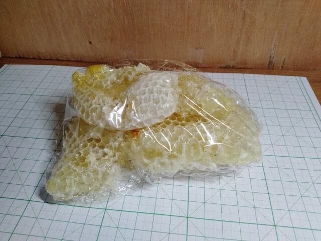 昆虫標本 ニホンミツバチ 巣盤 1番 2590g