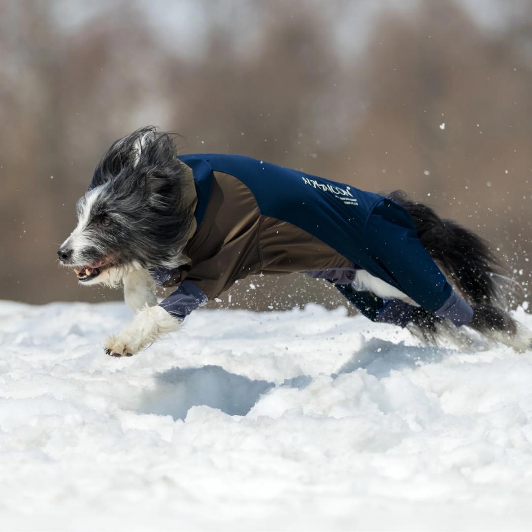 2025 ALPHAICON SNOW DOG GUARD スノードッグガードS