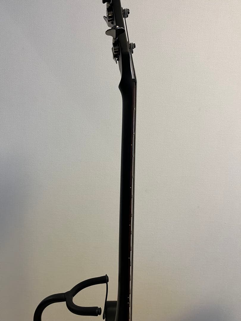 SCHECTER シェクター NIKKI SIXX AD-NS ソフトケース付き - メルカリ