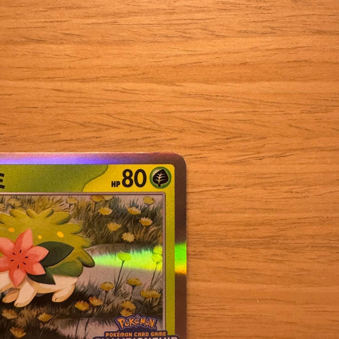 ロケット団のミュウツーex シェイミ　セット　CL2026 プロモ