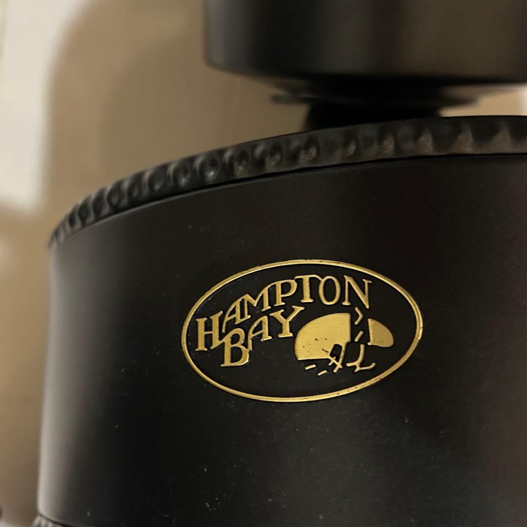 Hampton Bay ハンプトンベイ　シーリングファンライト　48インチ