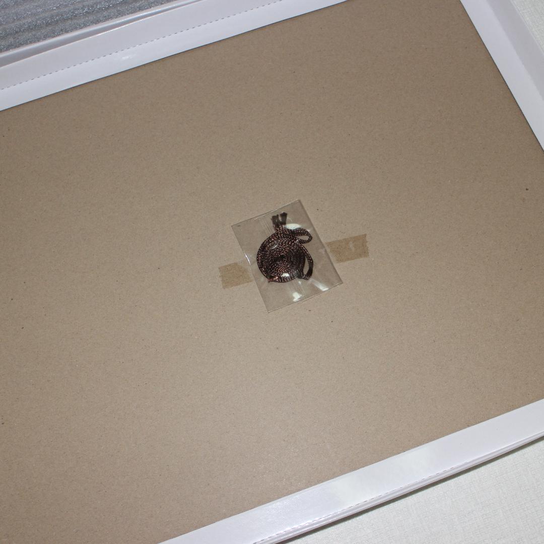 冨岡義勇 キャラファイングラフ 鬼滅の刃 柱稽古編 Blu-ray/DVD特典