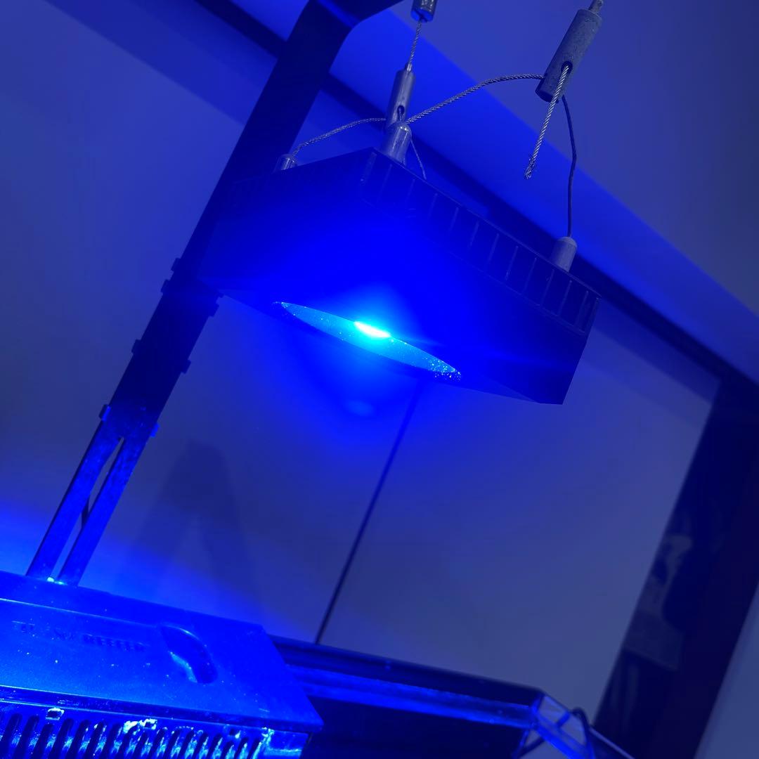 Red Sea REEFER 250 オーバーフロー水槽 オーバーフロー水槽設置