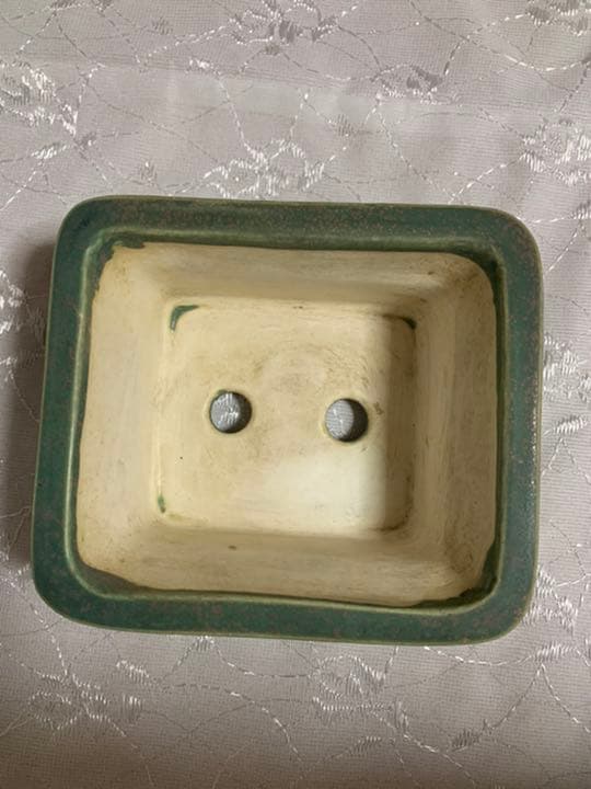 盆栽鉢　御蔵山