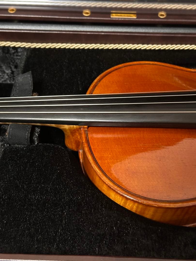 【希少】Musafia Lievissima ヴィオラケース