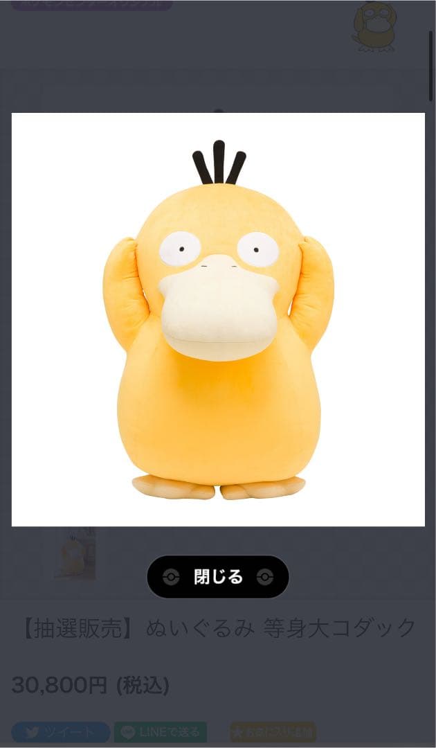 等身大 コダック ぬいぐるみ ポケモンセンターオンライン限定品