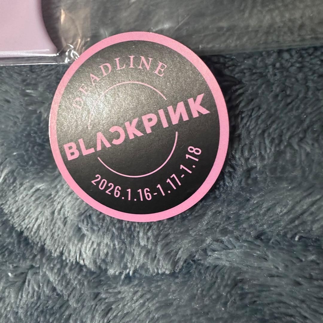 1/13本日夜迄に発送可☆BLACKPINK うちわ リサ おまけ付き - メルカリ