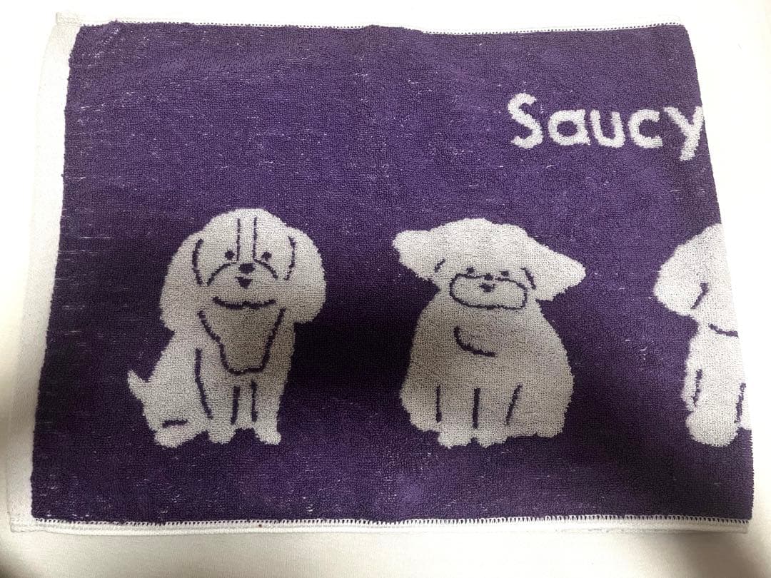 Saucy Dog タオル