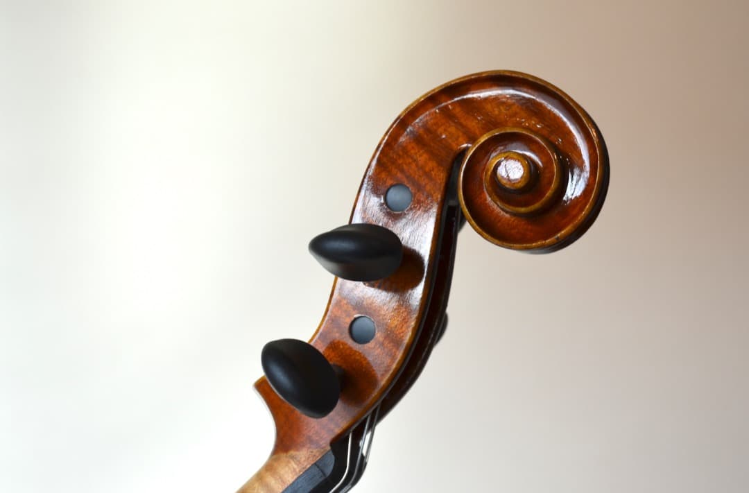 【Ayasa選定品】Gliga VASILE gama2 バイオリン 4/4