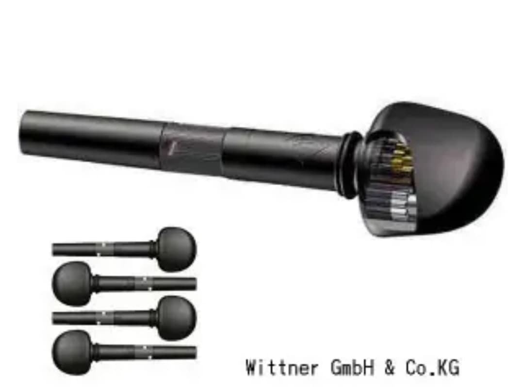 【Ayasa選定品】Gliga VASILE gama2 バイオリン 4/4