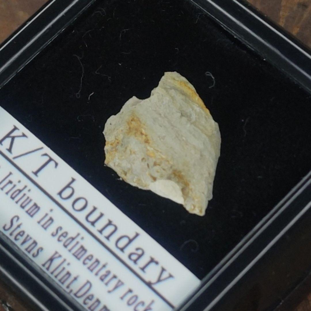 入手不可！小惑星のかけら K-T境界層（K/Pg境界頁岩）標本