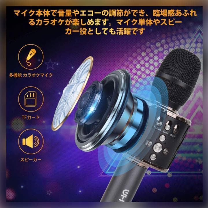 ❤自宅でカラオケ練習OK❣プロが練習用にも使用する本格派♪❤カラオケマイク