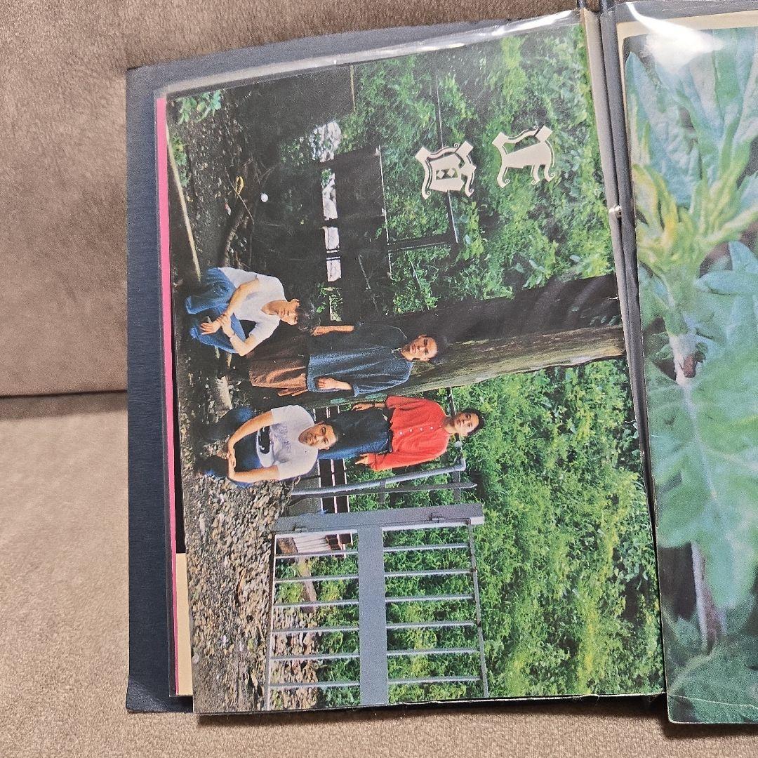 たま 虚言倶楽部会報 正直 ファイル 4〜8号 ファンクラブ 冊子