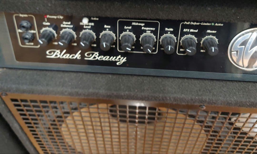 □□SWR tBlack Beauty ベース用コンボアンプ【真空管アンプ】