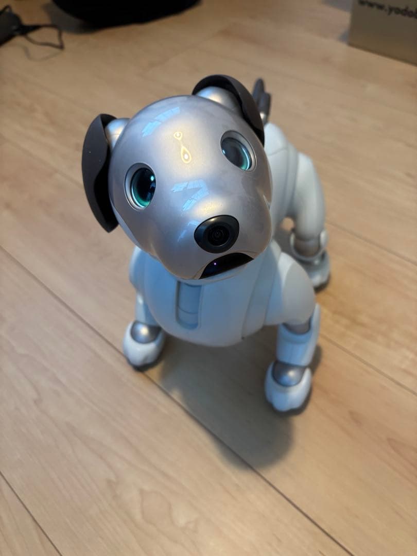 SONY/ソニー aibo/アイボ ERS-1000 本体