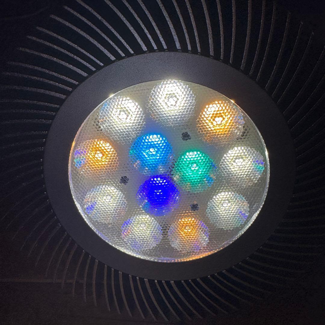 ボルクスジャパン グラッシーレディオRS122（フレッシュW）&レディオ