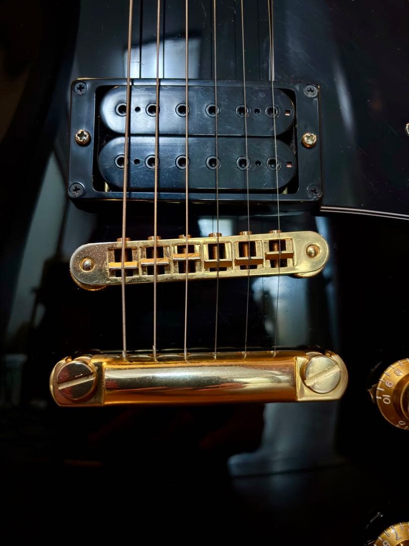 FERNANDES BURNYバーニー レスポールカスタムタイプ RLC-55