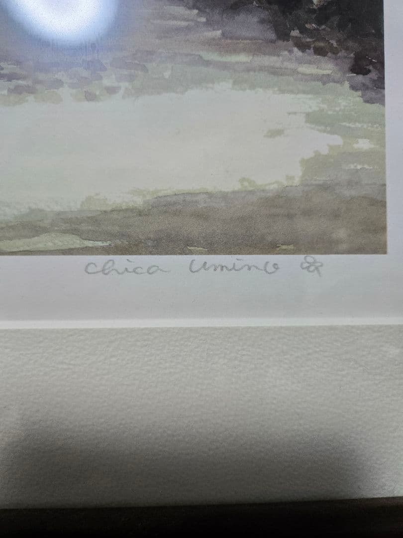 羽海野チカ直筆サイン＆シリアルナンバー入り「ハチミツとクローバー