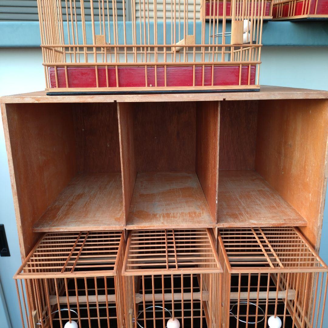 ゆでたまご様用 メジロ籠