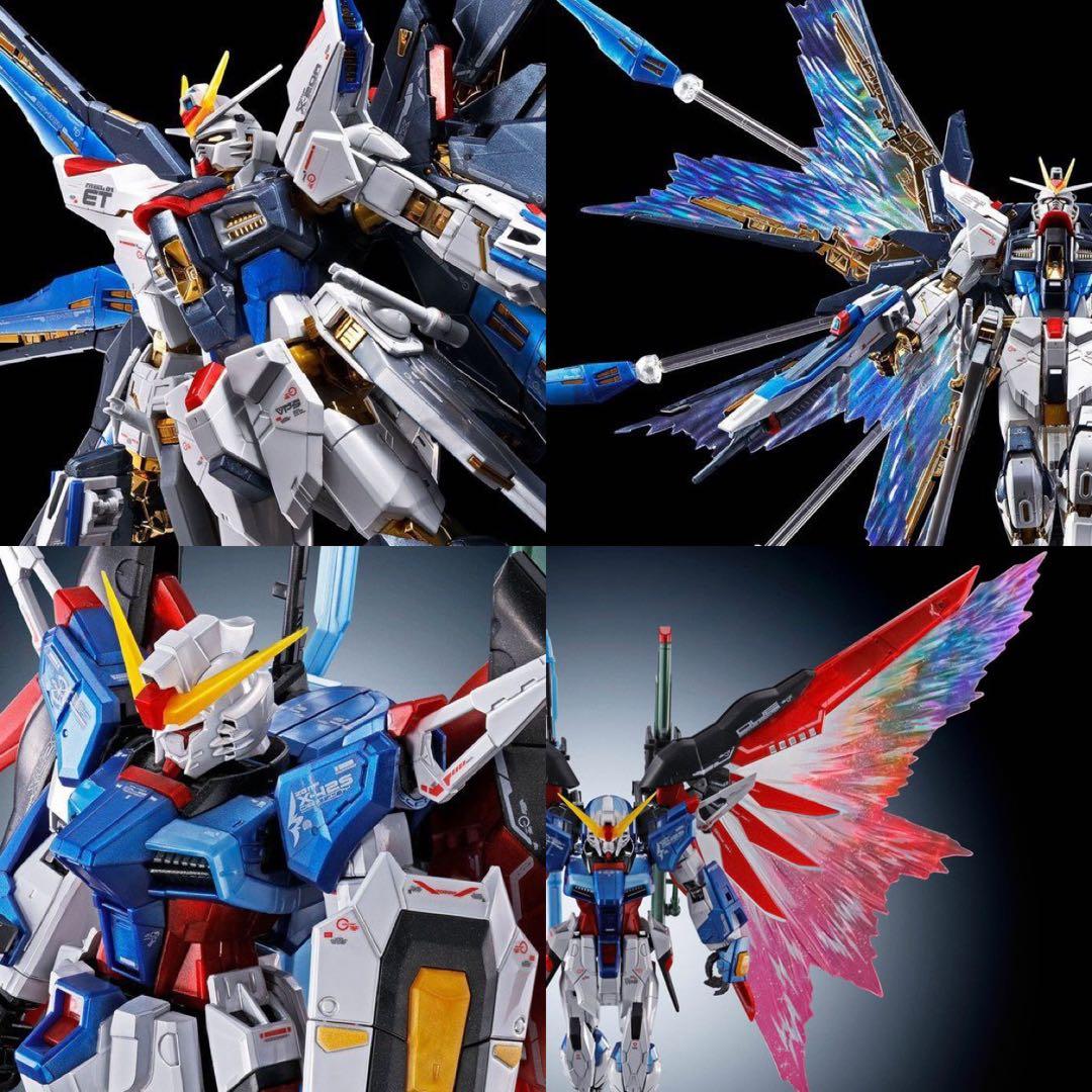 RG 1/144 ストライクフリーダムガンダム チタニウムフィニッシュ+光の翼