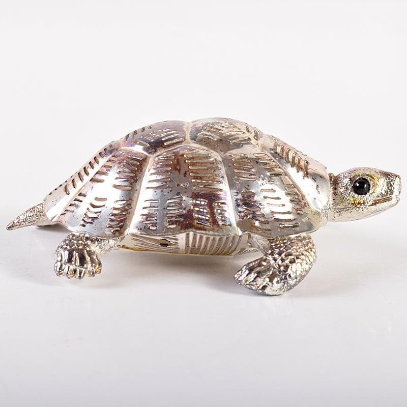 aki　クリストフル　リュミエールダルジャン　亀　M　R7838