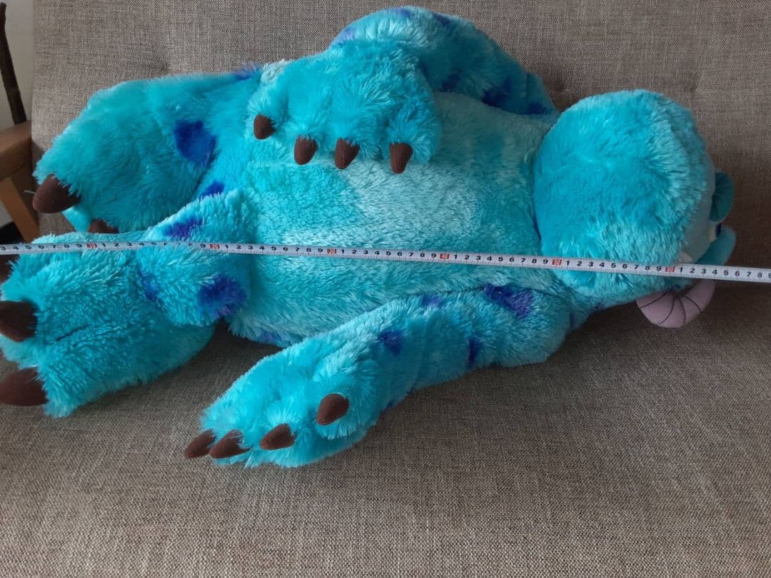 サリー 単独 大きいサイズ