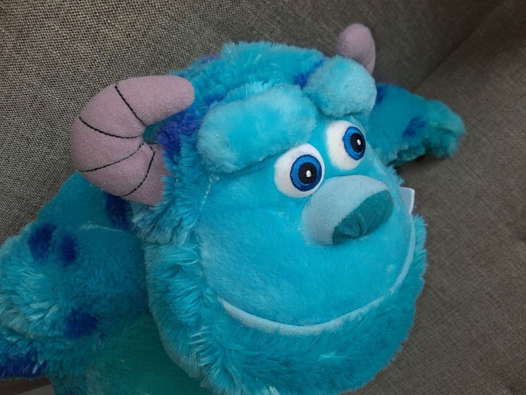 サリー 単独 大きいサイズ