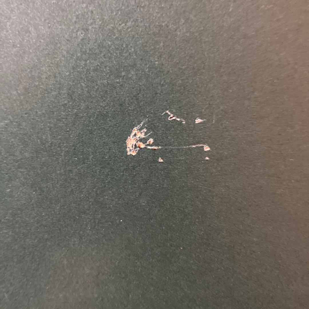 鶴田一郎　夜叉　リトグラフ　直筆サイン入り