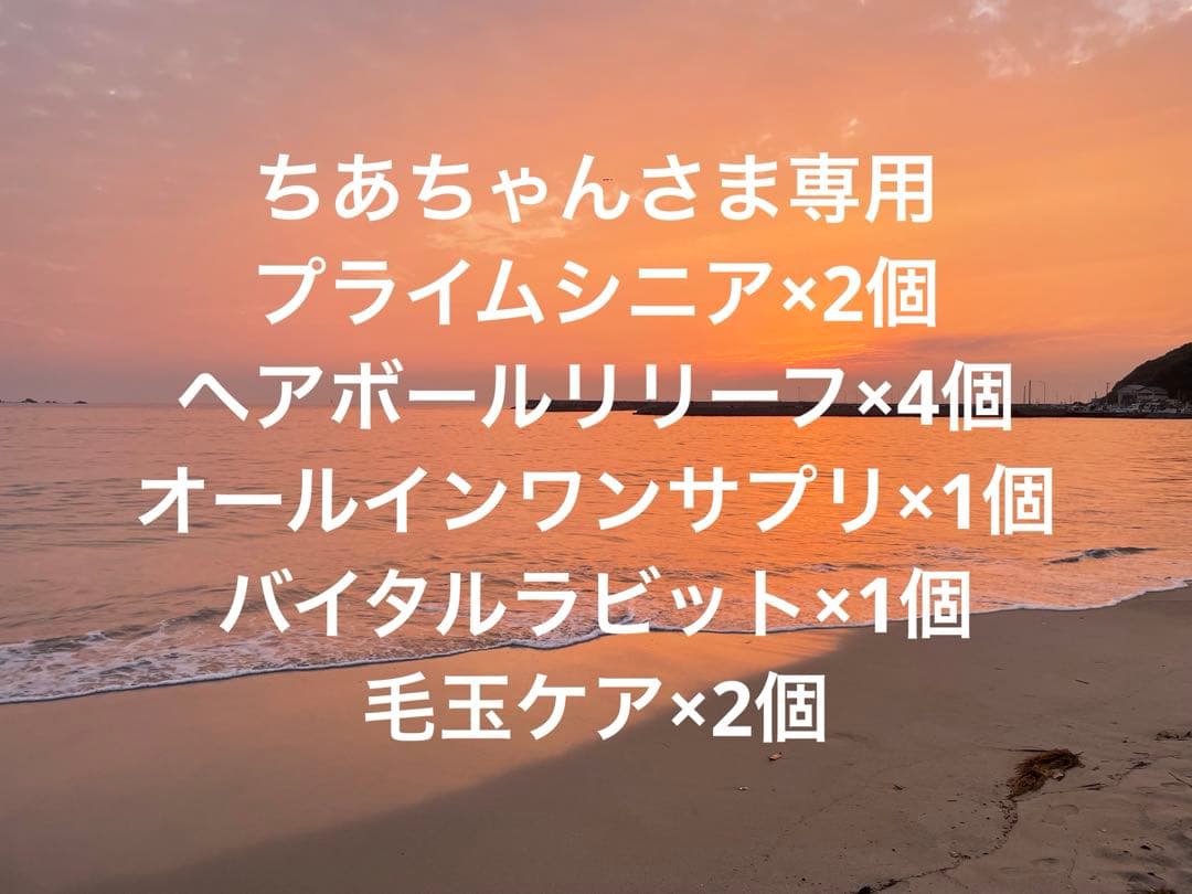 ちあちゃんさま専用 矢崎化工 たちあっぷ ひざたっちC 回転式 ハイタイプ CKL-12A【福祉