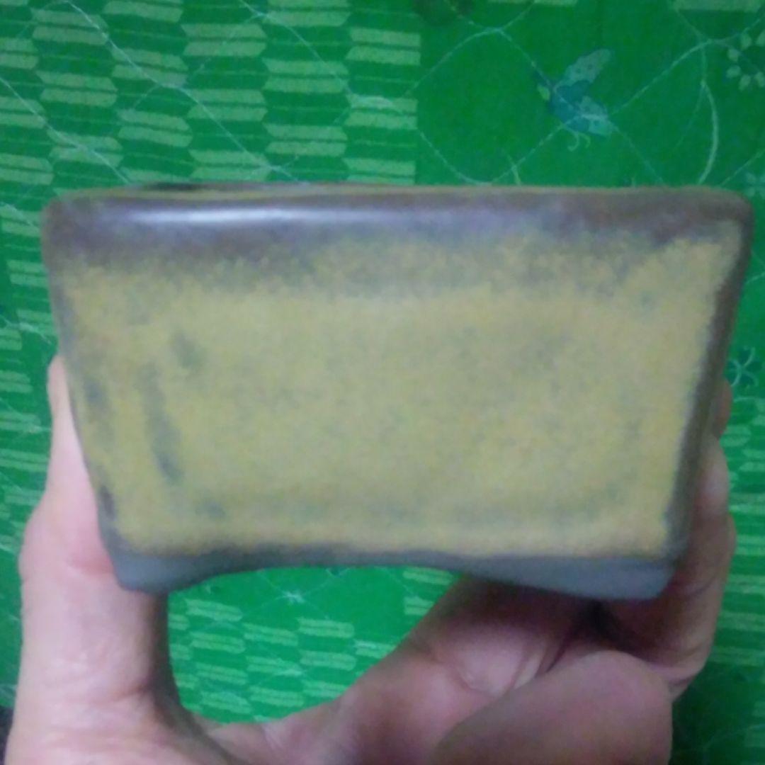 ミニ鉢、盆栽鉢、盆栽小鉢、鉢、植木鉢、山野草鉢、盆栽