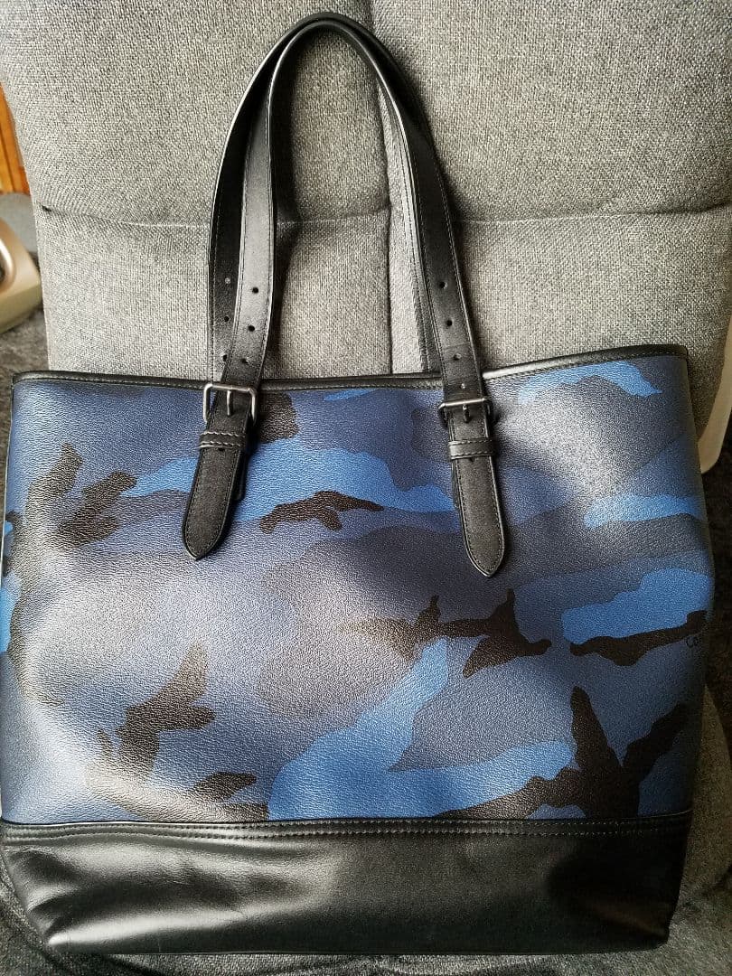 1点物】乾燥・色彩保存標本 オオグソクムシ④