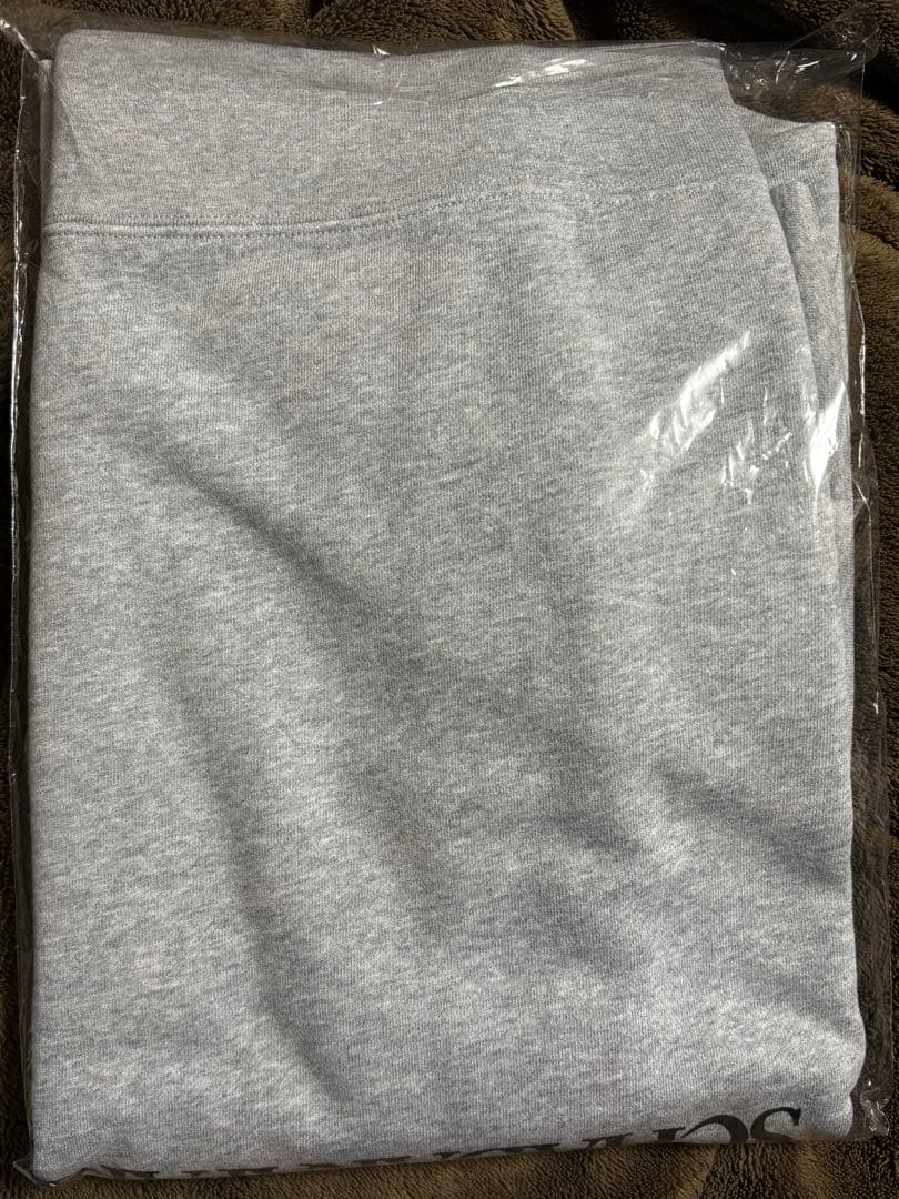 スチャダラパー チャンピオンカーニバル スウェットXL 電気グルーヴ