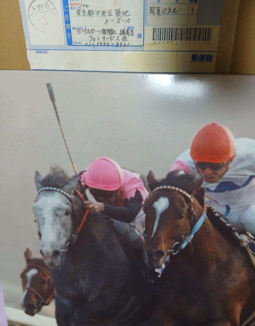 トウカイテイオー 競馬写真パネル復活優勝.ビワハヤヒデ有馬