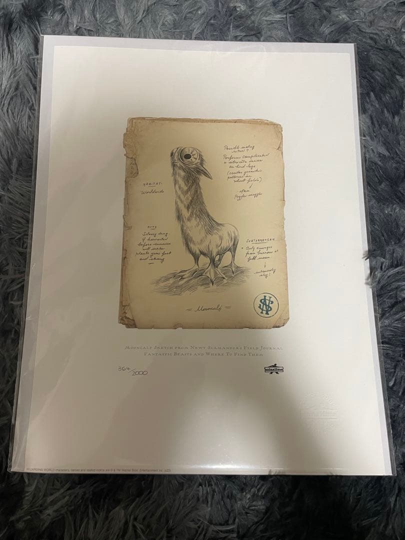 ミナリマ アートプリント ハリーポッター ファンタスティックビースト