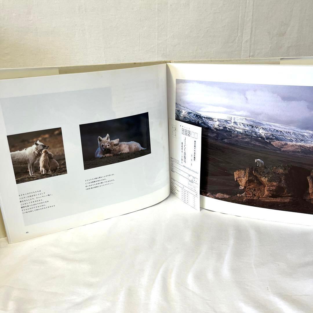 白いオオカミ 北極の伝説に生きる ジム・ブランデンバーグ 絶版 中古