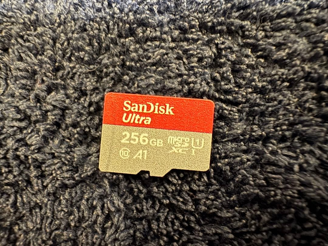 Nintendo Switch ブラック 2021年購入 256GBSDカード付